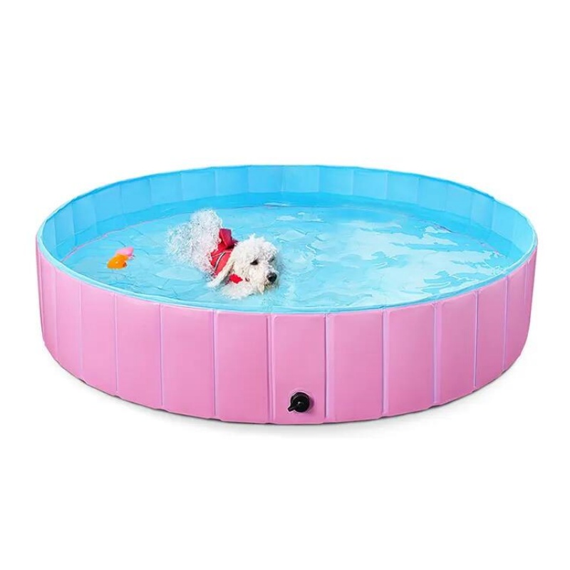 Plastic Dog Pool