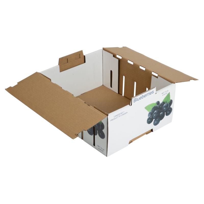 Corrugated Box